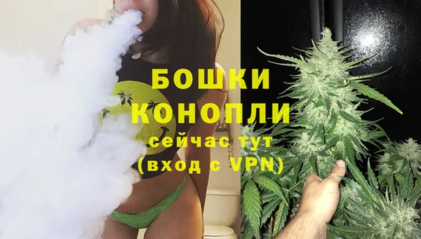 spice Михайлов
