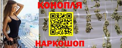 стаф Берёзовский