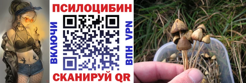 Псилоцибиновые грибы Magic Shrooms  Канаш 