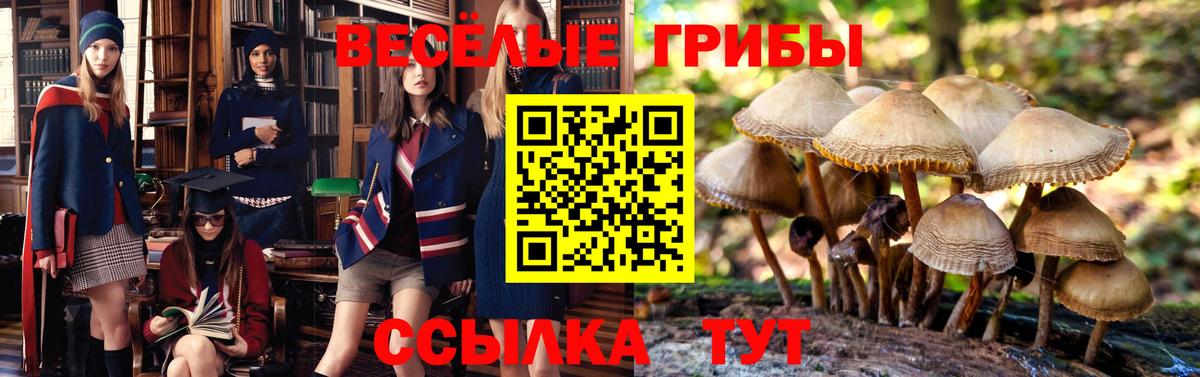 Псилоцибиновые грибы Magic Shrooms  Вход с VPN  Канаш 