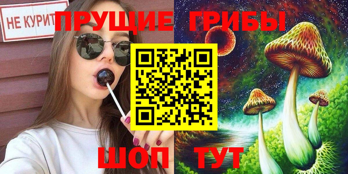 Псилоцибиновые грибы мицелий Канаш