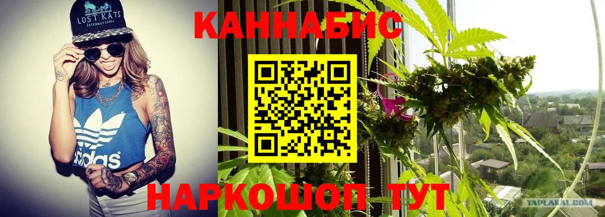 Шишки марихуана ГИДРОПОН Канаш